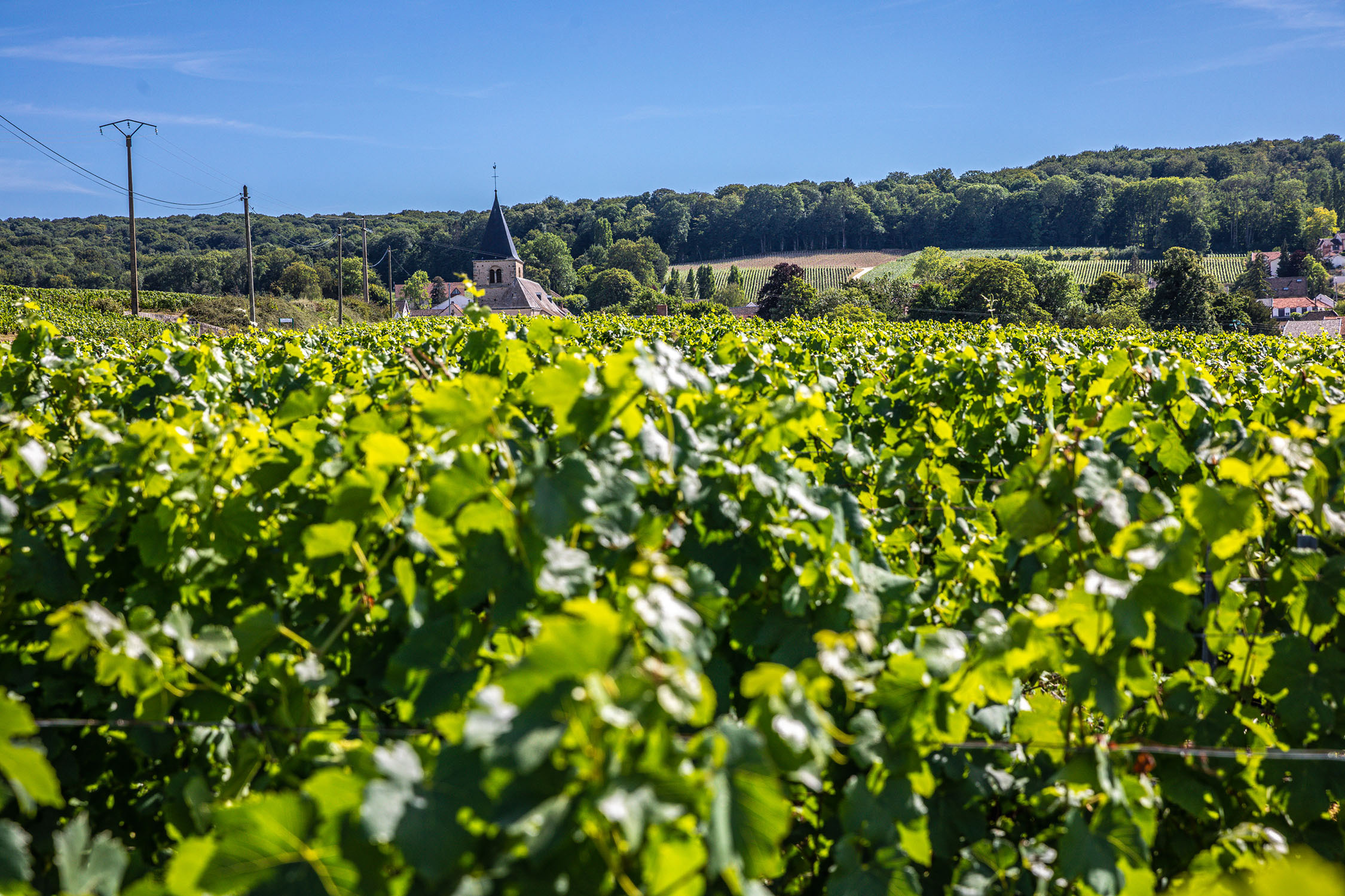 Le Bilan Carbone Gardet