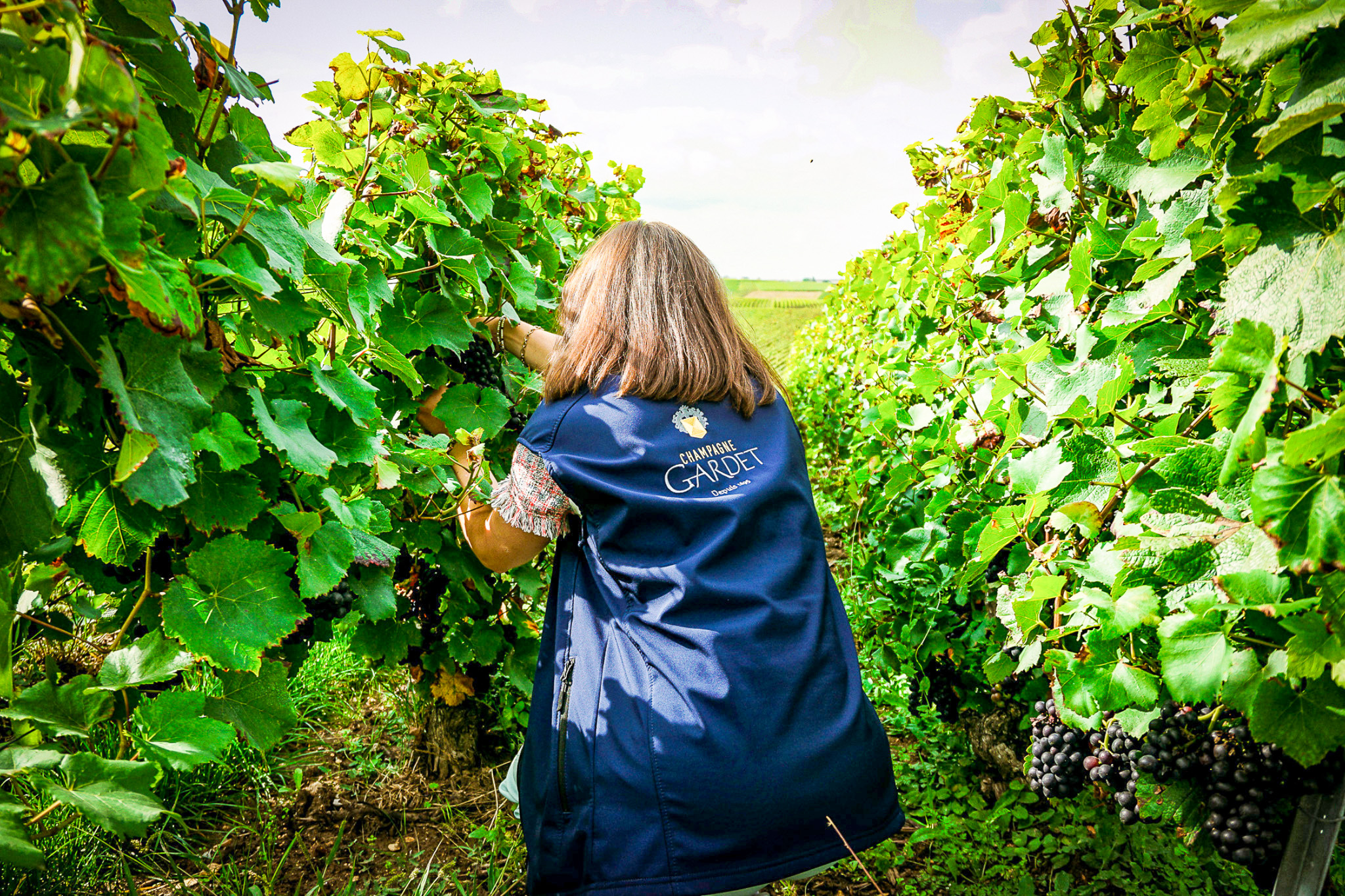 GARDET-vendanges-2021